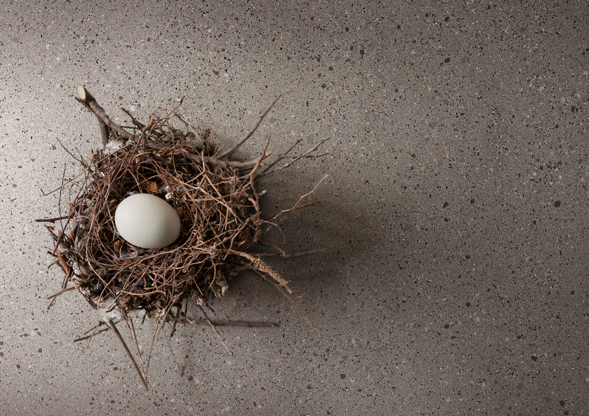 A single egg in a bird's nest with some feathers and negative space